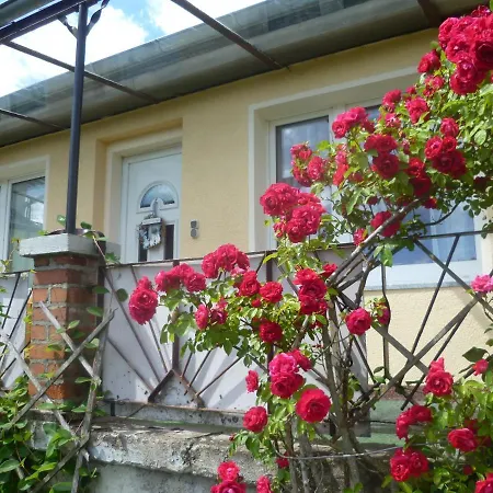 1 Ferienhaus