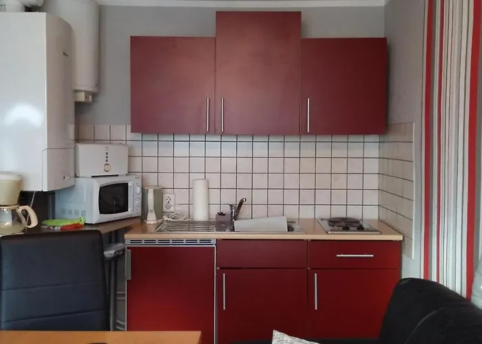 1 * Elbingerode (Saxony-Anhalt)